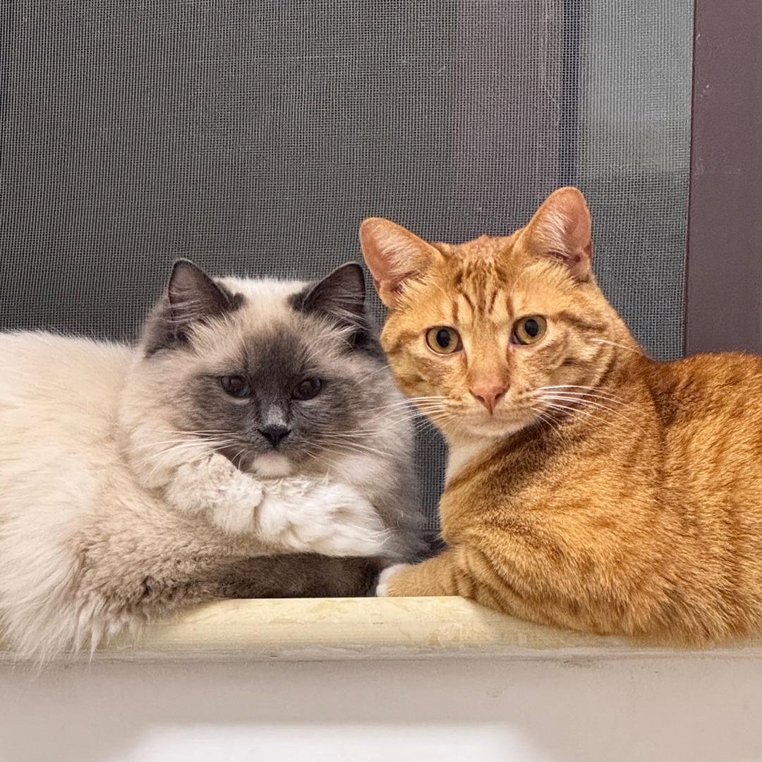 锦顺源数码相纸优选店