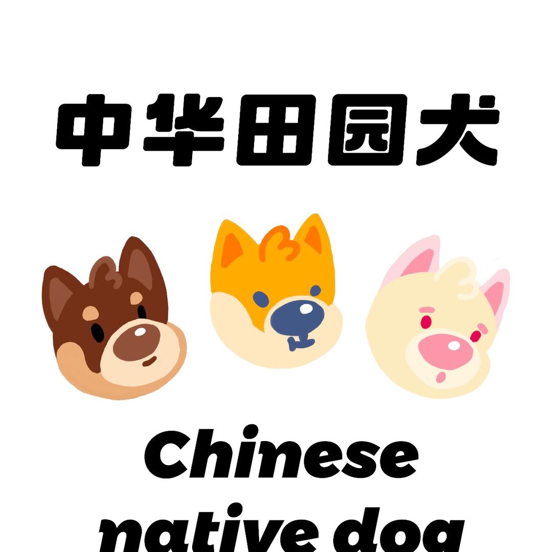 广西土猎基地（要🐶斯）