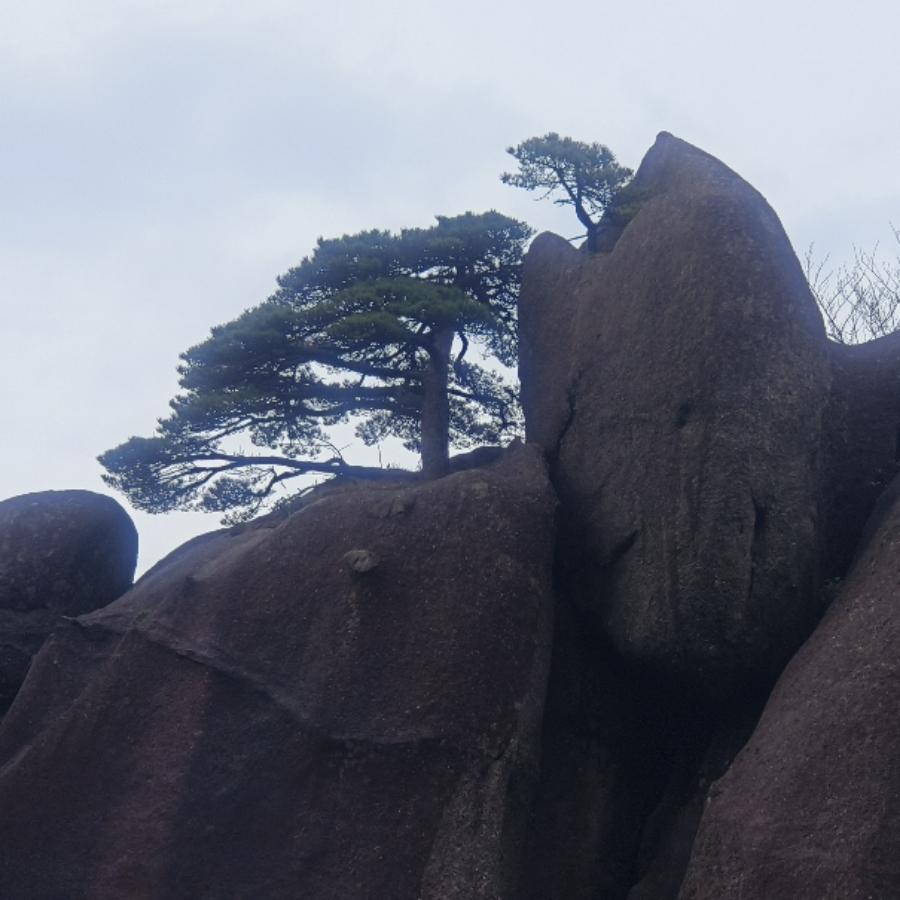 @小刘…吖