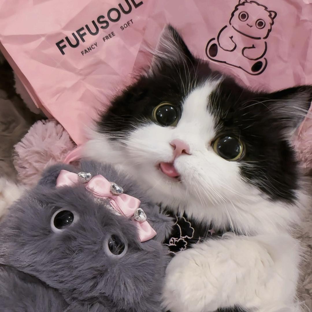 一两只兔🐰（穿戴甲）