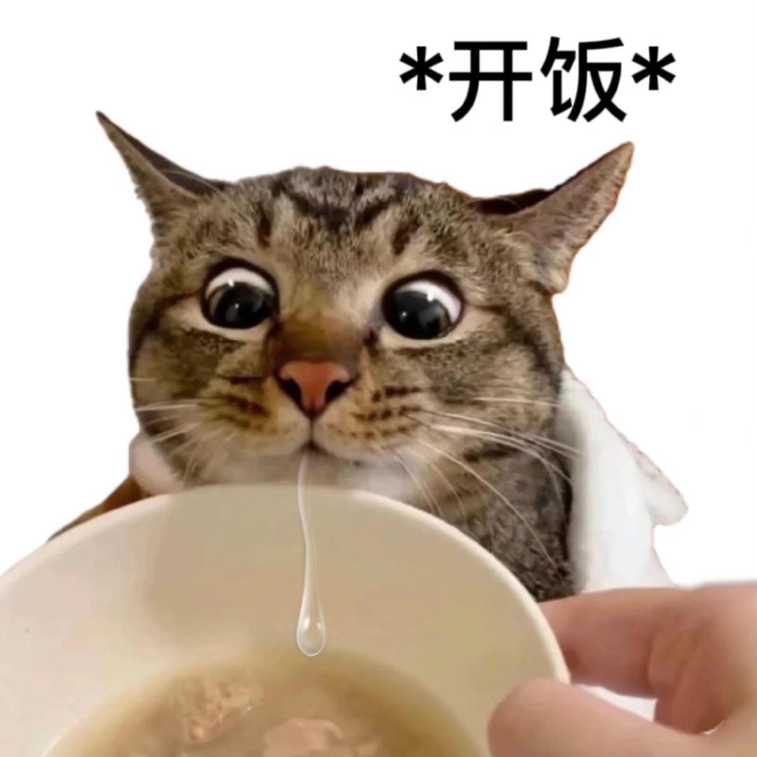 午夜流泪小狗