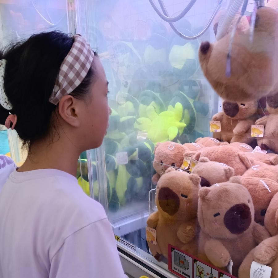 诗和远方@