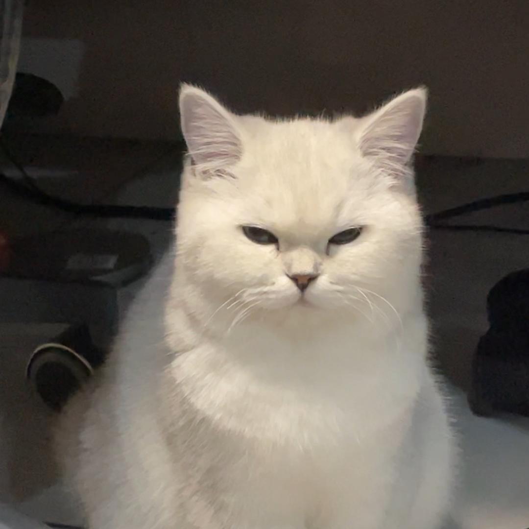 小小小面包