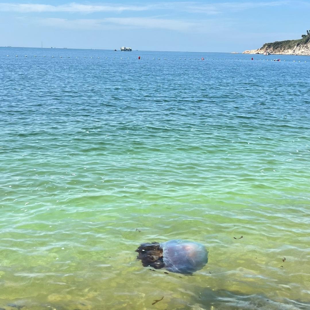 天际里的正经人