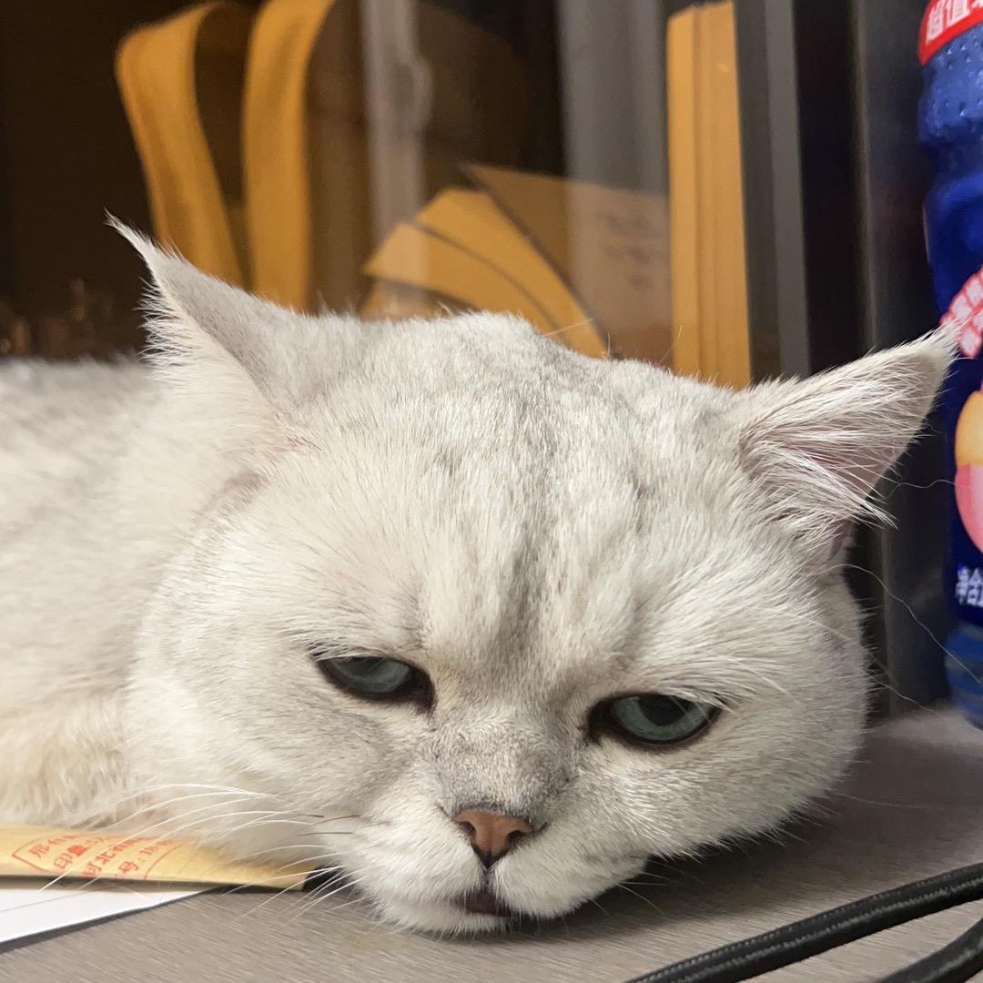 十五Lazy