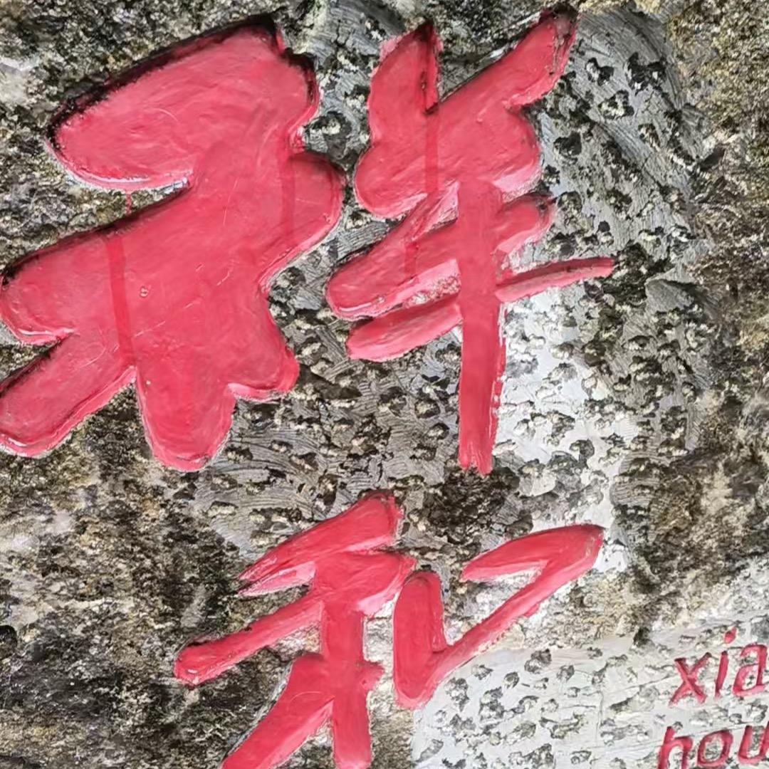 祥和·鸵鸟盛宴