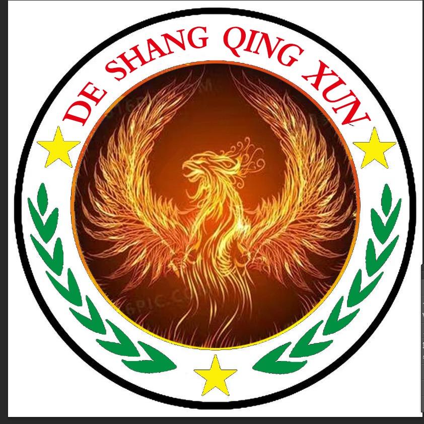 南宫市德尚足球青训