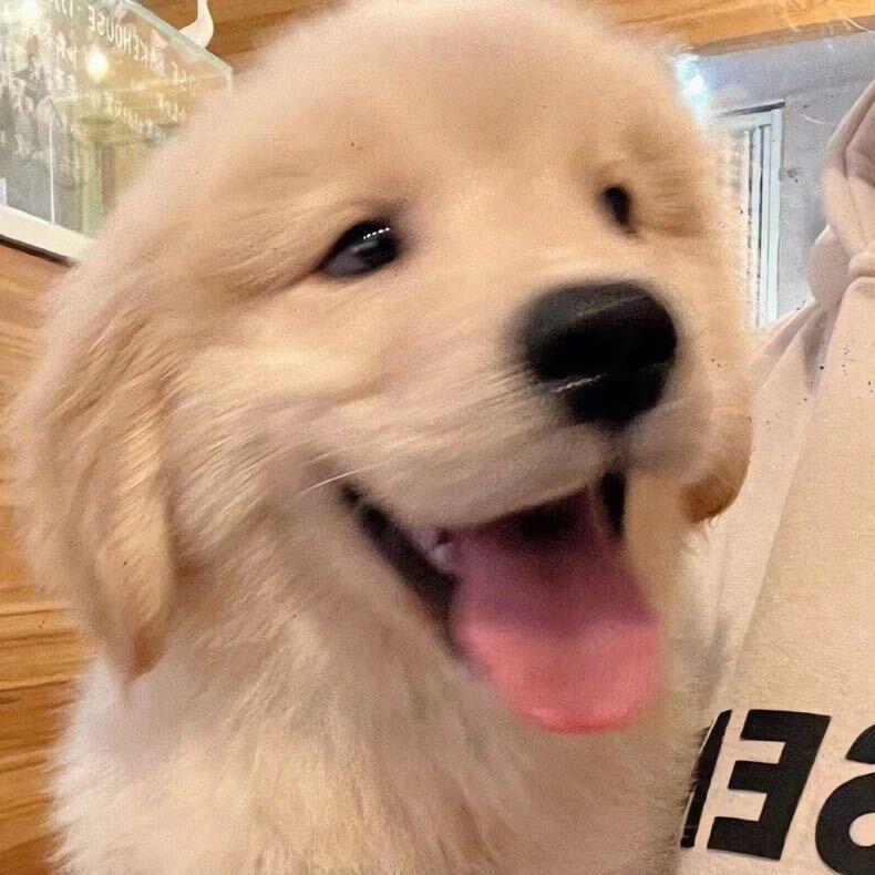 小君（三角洲行动）