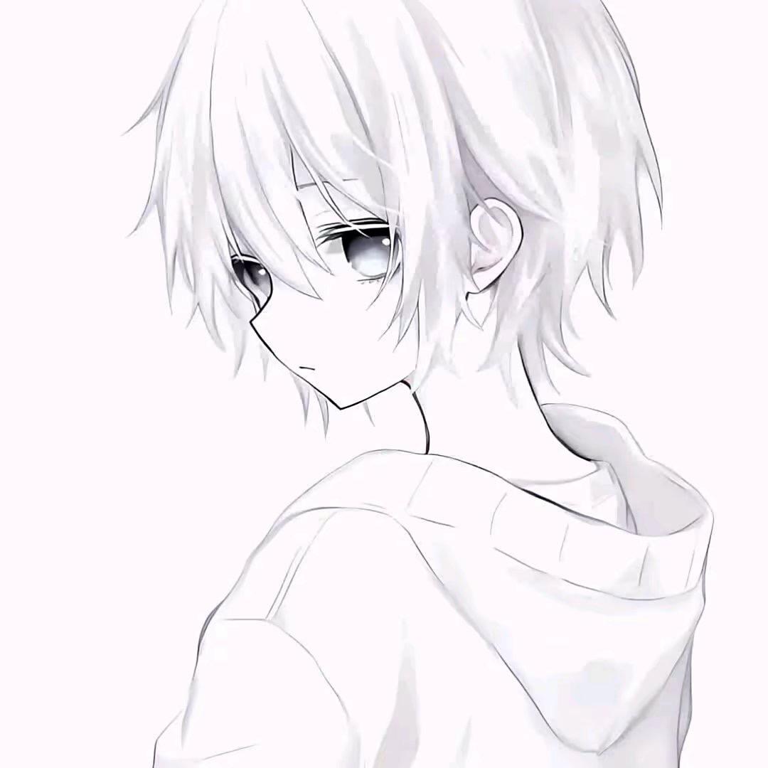 小圆qvq