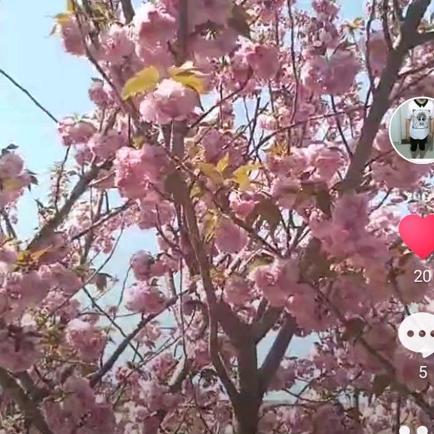 青青子衿(づ ●─● )づ