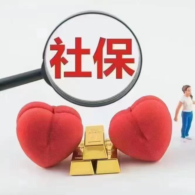 河南社保规划小陈