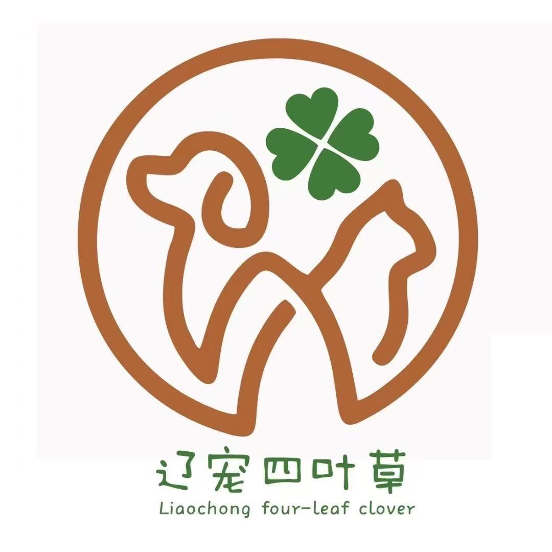 辽宠约克夏之家