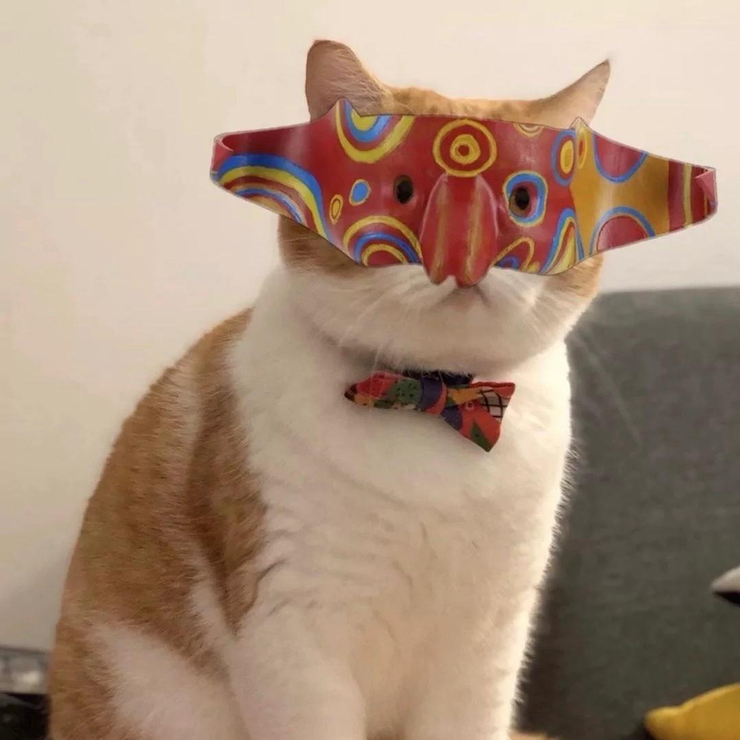 金铲铲之战小毅