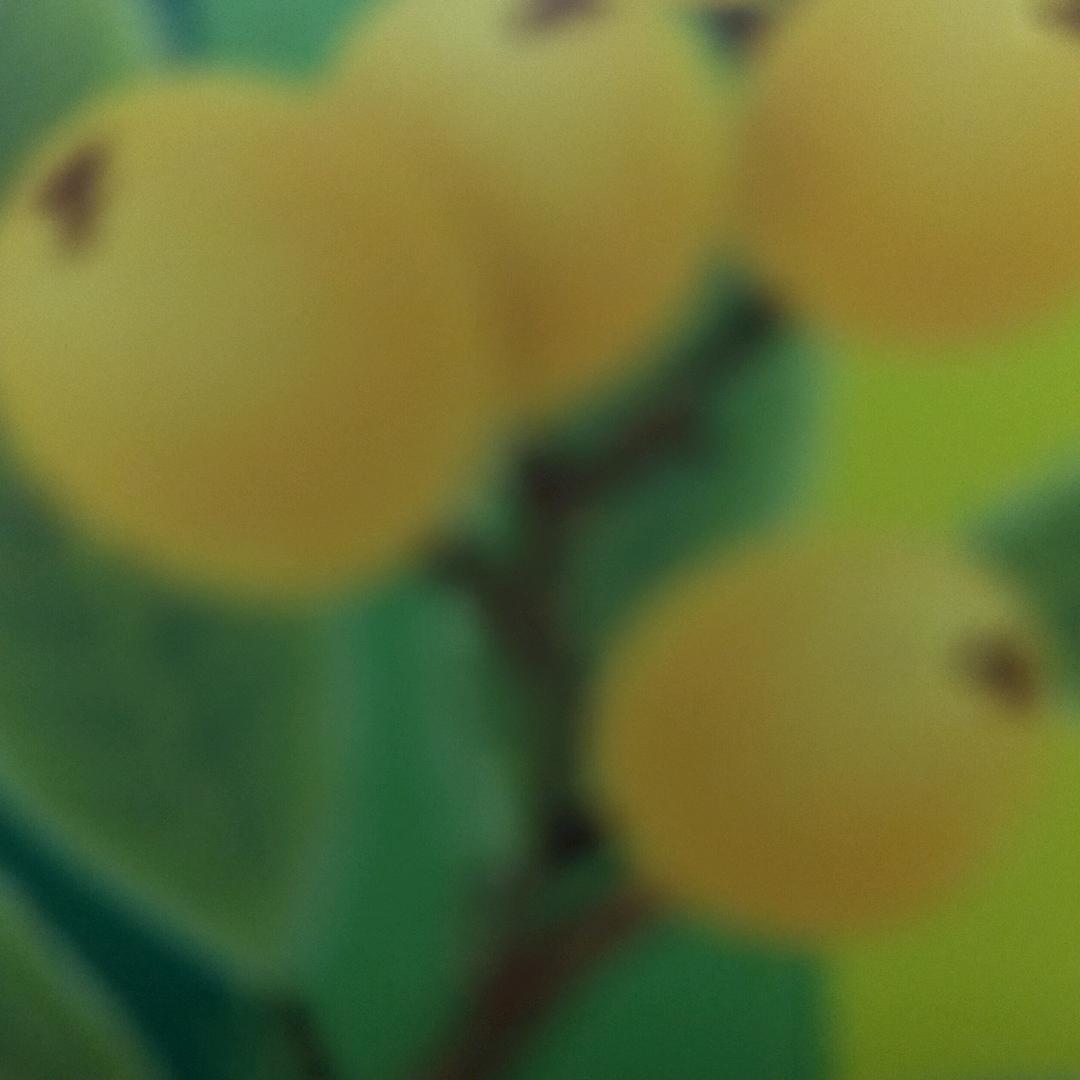 记录蒋姐的上班日常