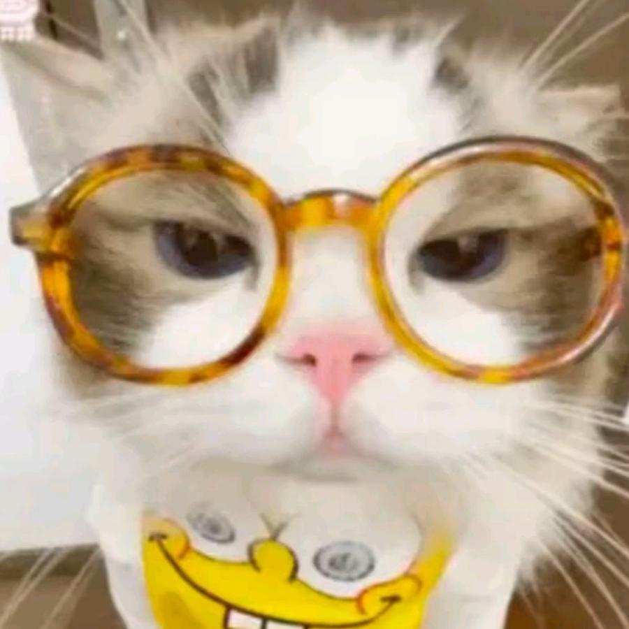 阿白.1376❤️‍🔥