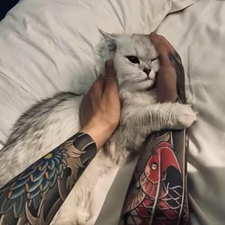 雨夜带刀不带伞