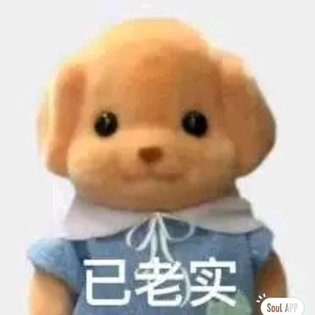 小熊电台🐻