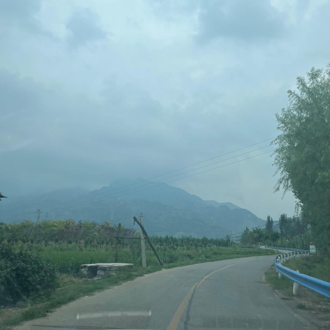 太熟悉伏牛山园艺盆景