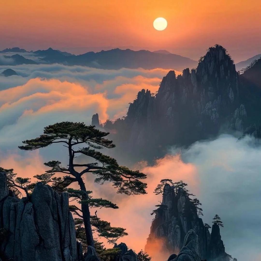 阖家歡楽