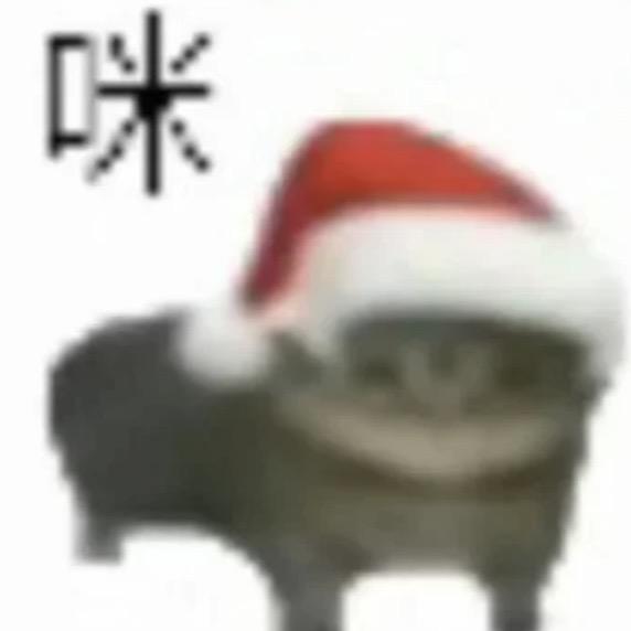 泡泡咪