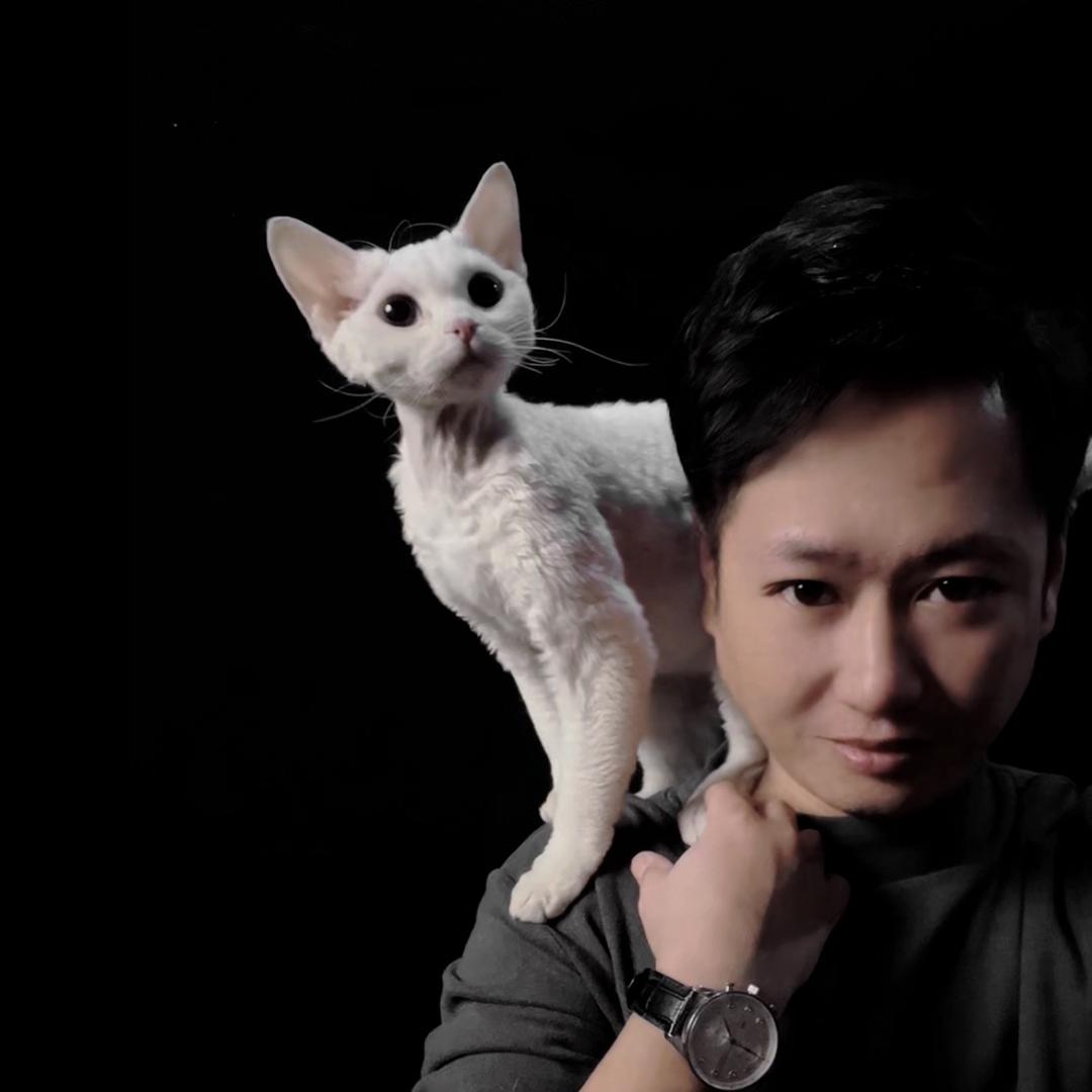 Mingxuan德文卷毛猫