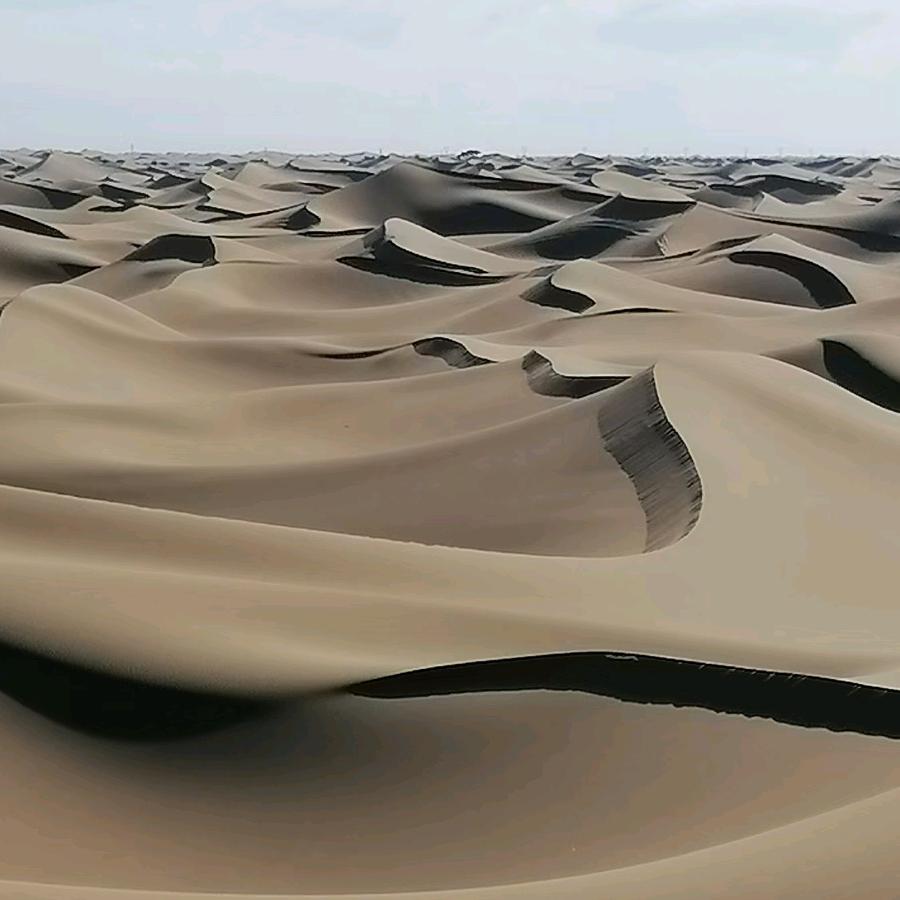 🎊🎊🎊滨海情缘🎓🎓🎓