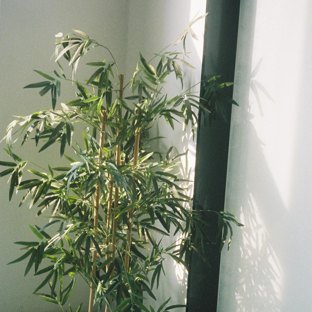 24小时卖货中