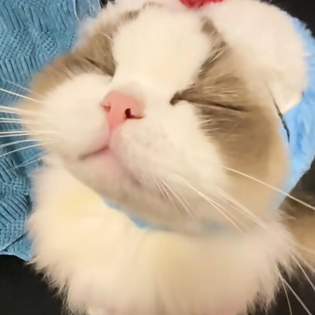 少少少涵