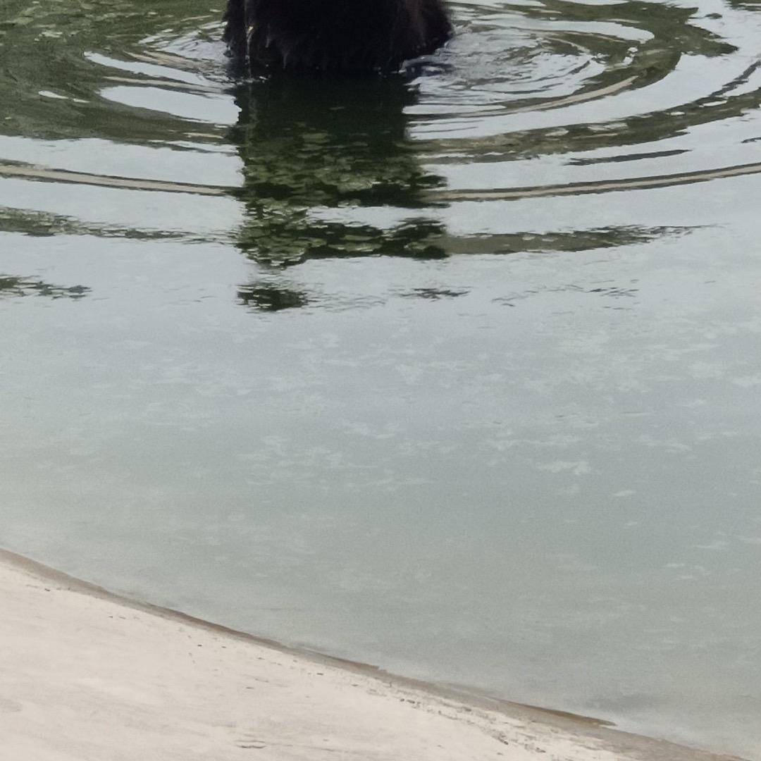 张爽便利店塔曼彤直播号