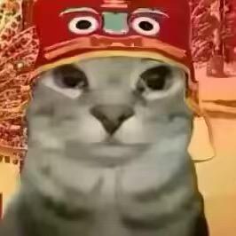 哇哦