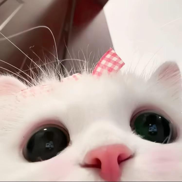 小雨🎀