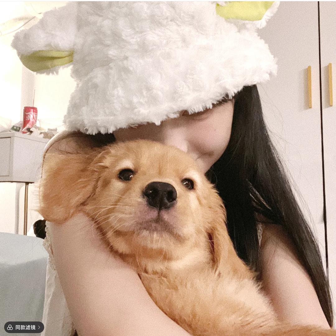 I'猫宁