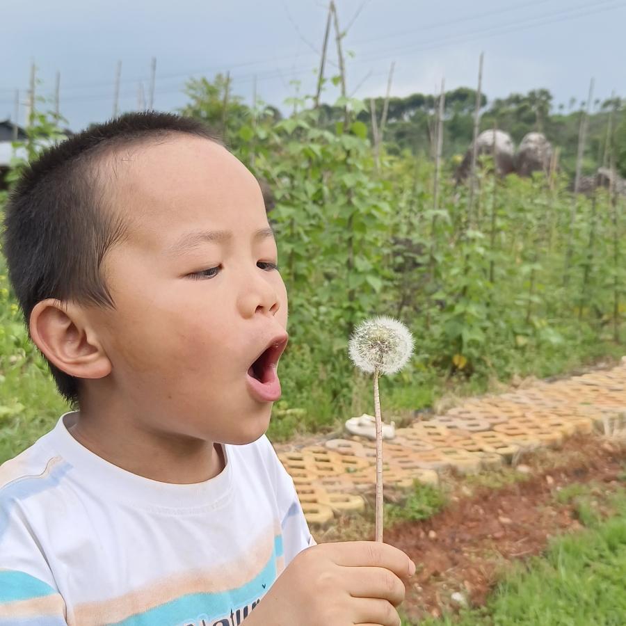 cp桃花笑春风😘😊