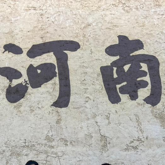 牟融甄选