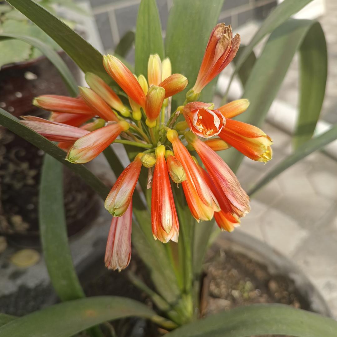 中国电信(潮北新城营业厅)