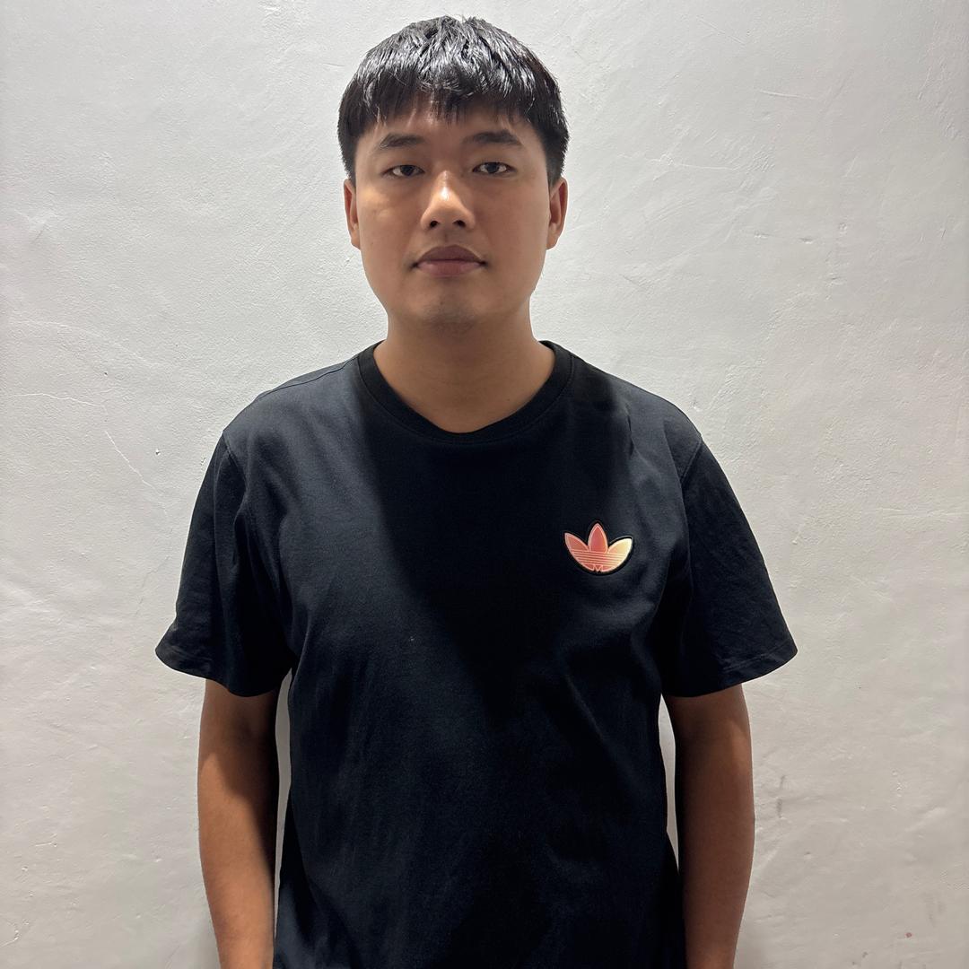 自律的嘉文