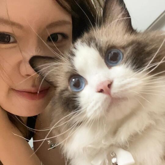 菜菜子