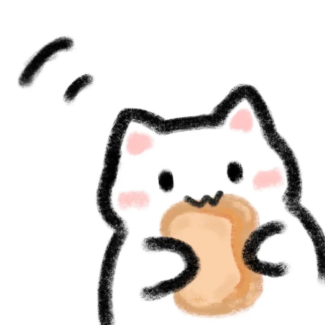 哈基咪