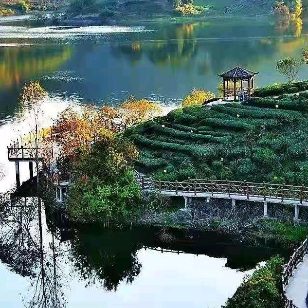 旭腾商用厨具刘