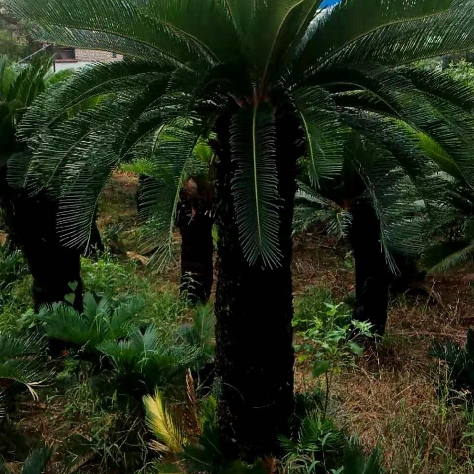 长治市宏景园林有限公司