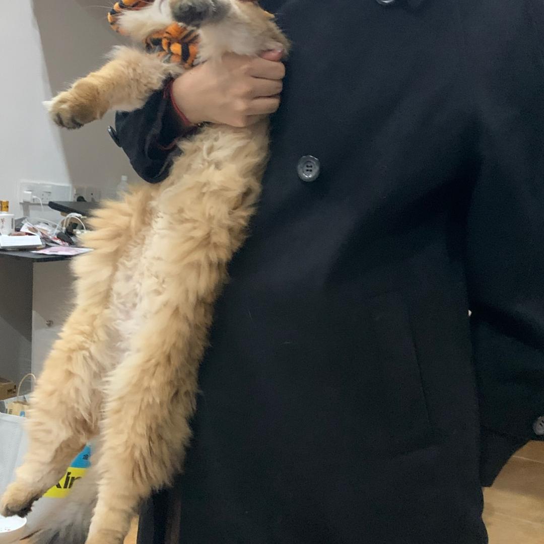 nice gal自助女装