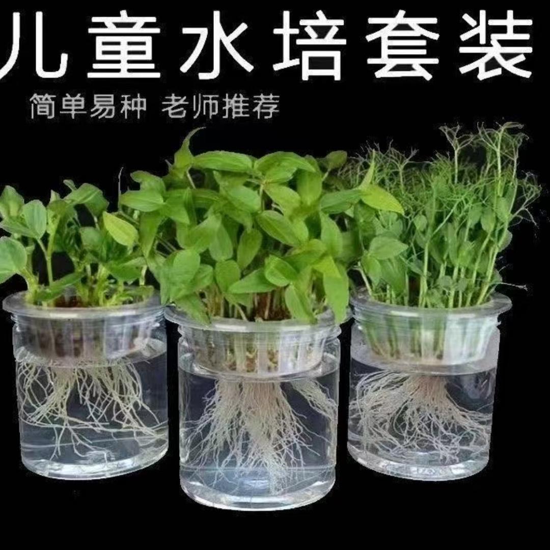 花名种植园艺