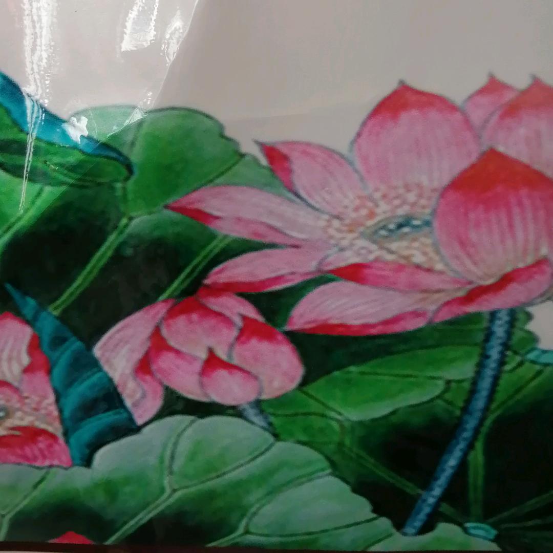 乐