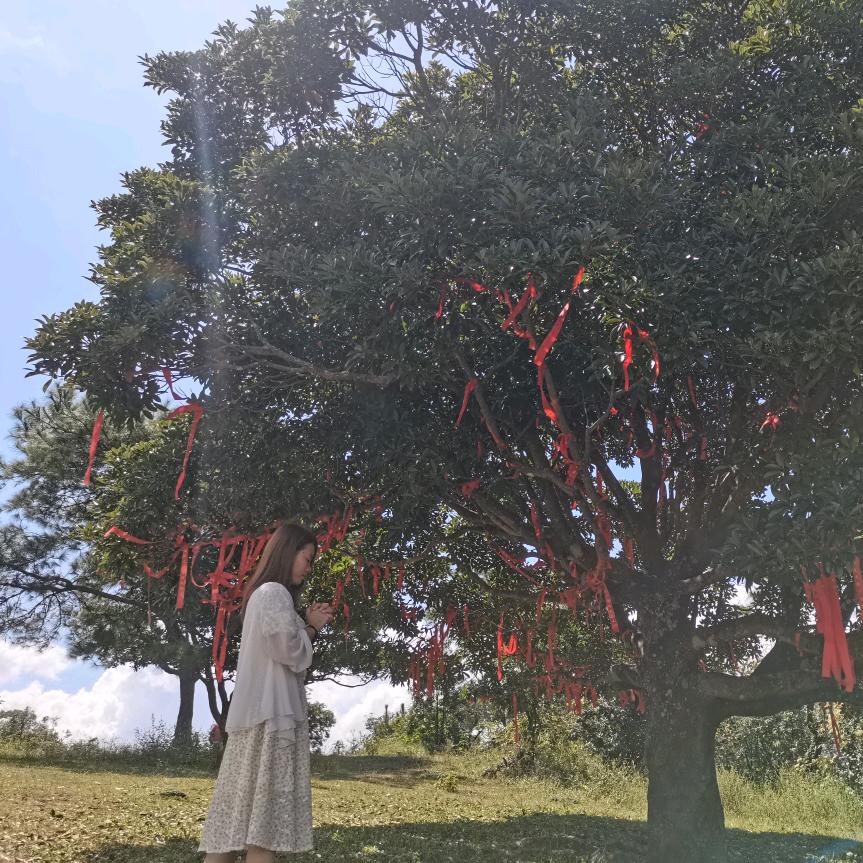 Z  LOVE   L + 小鑫鑫