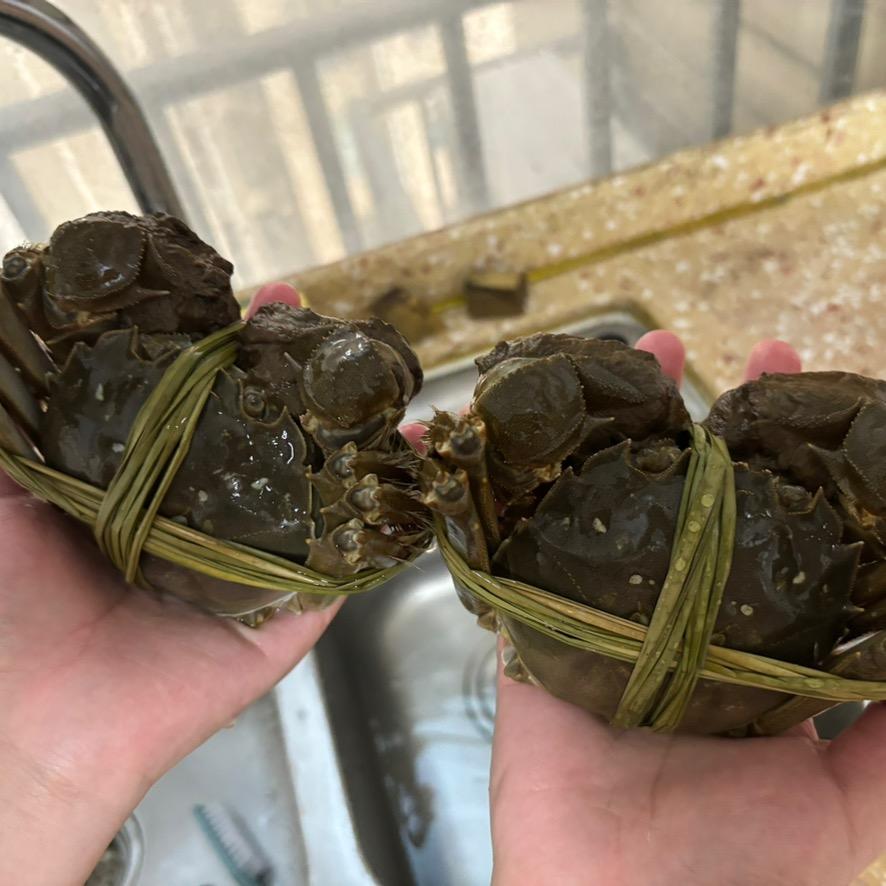 蟹🦀蟹🦀