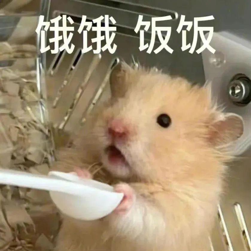 疯狂羊仔