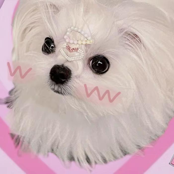 宁宁bb