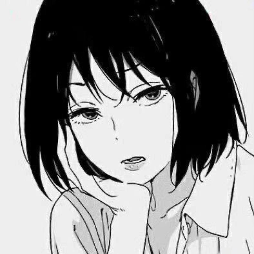 Xin莘