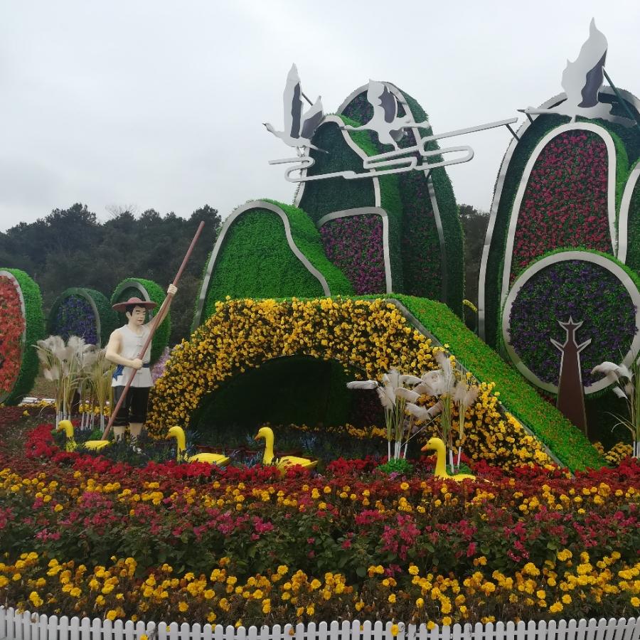 万紫千红,8