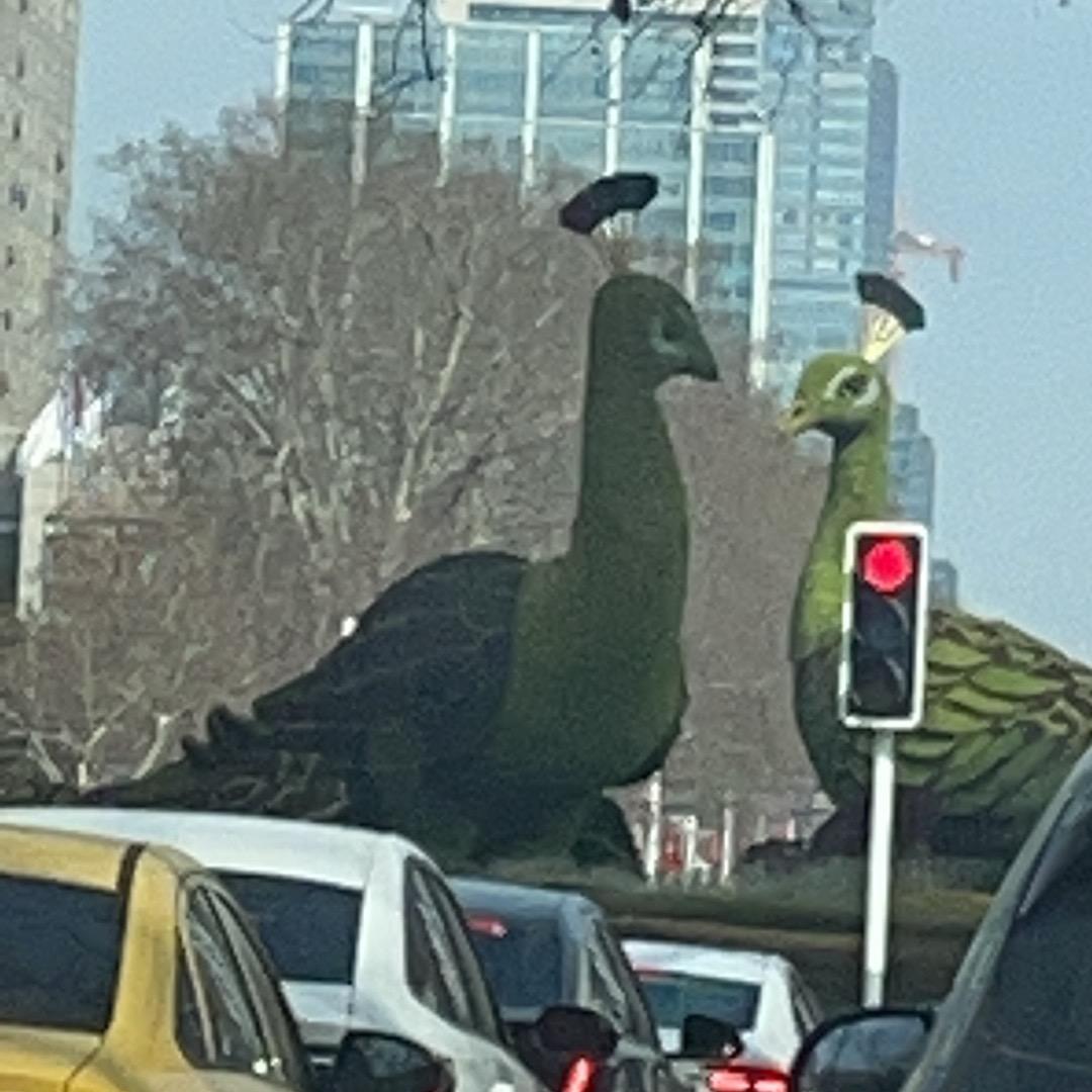 小东东牛马的一天